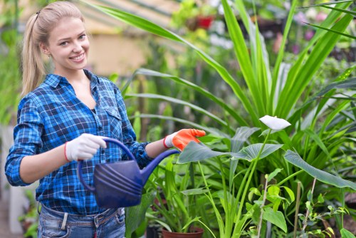 Gardener arranging plants in Downham garden