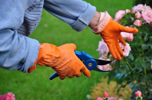 Gardener inspecting a garden with toolkit and insurance documents nearby