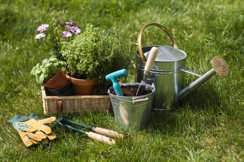 Mown lawn and tidy hedges in a typical Downham suburban garden