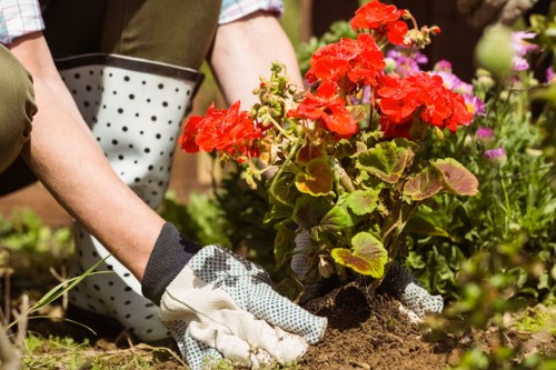 Charity volunteers collecting reusable gardening items