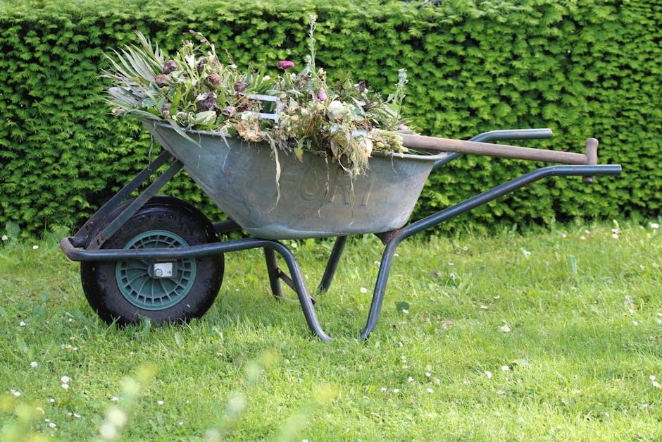 A small front garden featuring a neatly mowed lawn with trimmed grass borders, a central garden bed with a variety of plants including leafy shrubs and small flowering perennials, and an evenly raked 